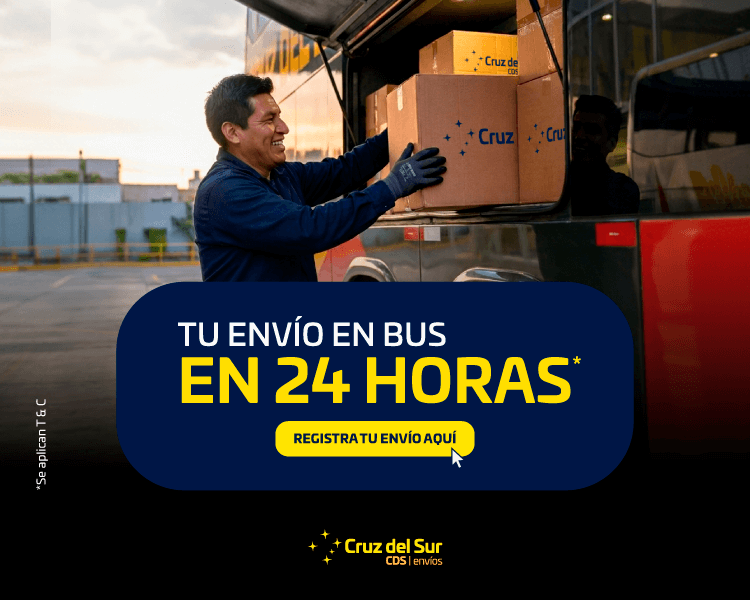 Descripción de la imagen